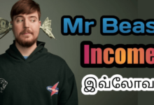 MrBeast YouTube Income